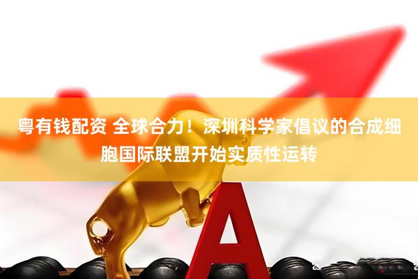 粤有钱配资 全球合力！深圳科学家倡议的合成细胞国际联盟开始实质性运转