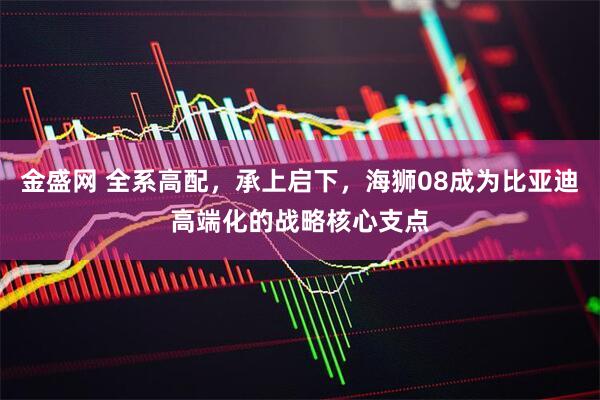 金盛网 全系高配，承上启下，海狮08成为比亚迪高端化的战略核心支点